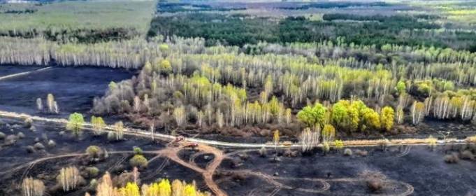 У Чорнобильській зоні і на Житомирщині продовжують гасити пожежі У Чорнобильській зоні і на Житомирщині продовжують гасити пожежі