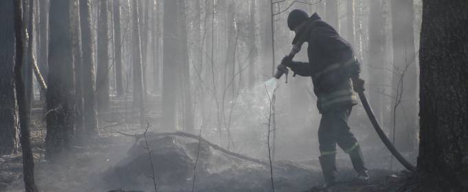 В Житомирской области и Зоне отчуждения продолжают гасить лесные пожары В Житомирской области и Зоне отчуждения продолжают гасить лесные пожары