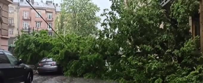 Сильна злива затопила вулиці Чернівців Сильна злива затопила вулиці Чернівців