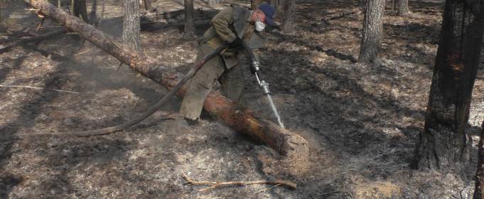 У Поліському заповіднику загасили масштабну пожежу У Поліському заповіднику загасили масштабну пожежу