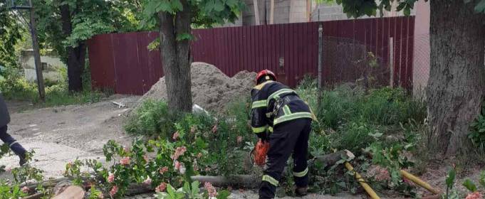 В Ужгороді дерево впало на газову трубу В Ужгороді дерево впало на газову трубу