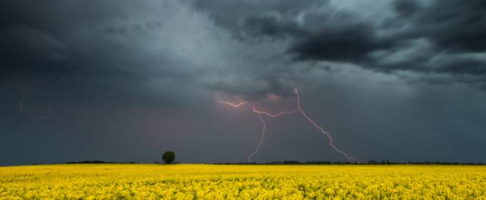 Погода в Україні на вівторок, 12 травня Погода в Україні на вівторок, 12 травня