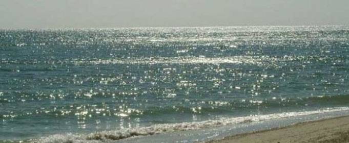 Кирилівка в новому сезоні може похвалитися незвично прозорим морем Кирилівка в новому сезоні може похвалитися незвично прозорим морем