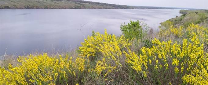 Прогноз погоди в Україні на червень Прогноз погоди в Україні на червень