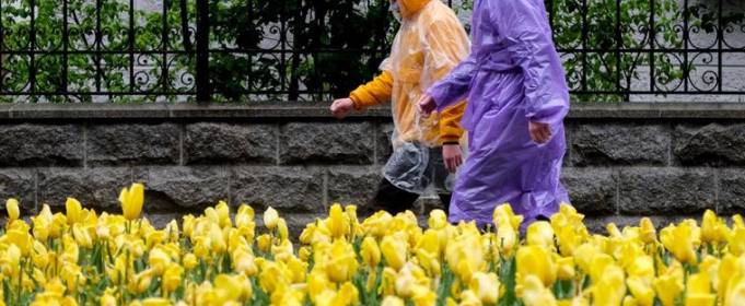 Синоптик пояснила, чому початок літа виявився в Україні холодним Синоптик пояснила, чому початок літа виявився в Україні холодним
