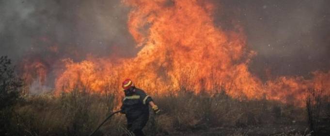 У Греції на Афоні вирує лісова пожежа У Греції на Афоні вирує лісова пожежа