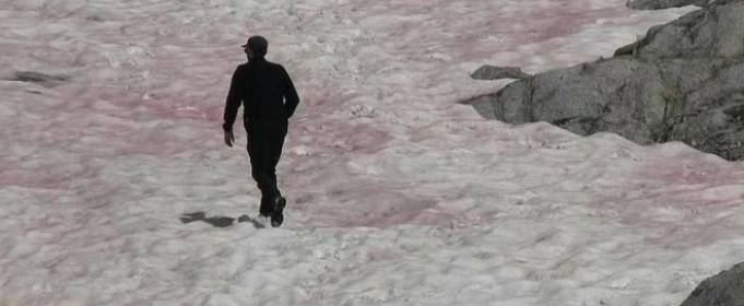 В Альпах лід набув рожевого кольору В Альпах лід набув рожевого кольору