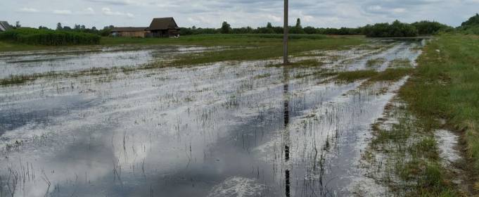 Паводок на Волыни затопил более 20 тысяч гектаров сельскохозяйственных угодий Паводок на Волыни затопил более 20 тысяч гектаров сельскохозяйственных угодий