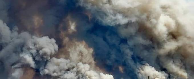Лісову пожежу в Луганській області названо надзвичайною ситуацією регіонального рівня Лісову пожежу в Луганській області названо надзвичайною ситуацією регіонального рівня