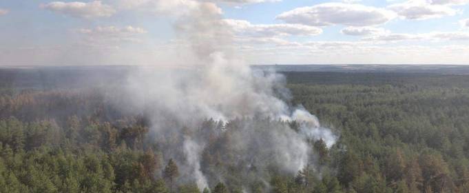 Пожежу в Луганській області локалізовано Пожежу в Луганській області локалізовано