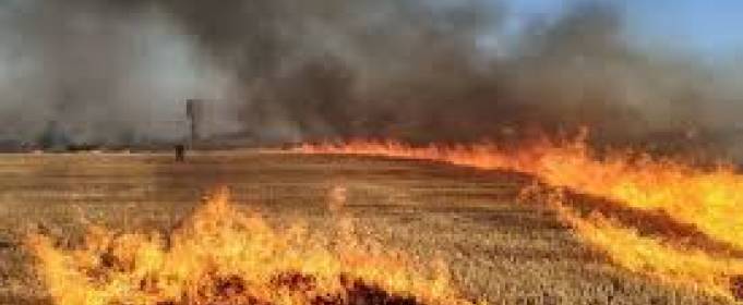 У Хмельницькій області згоріло 16 га пшеничного поля У Хмельницькій області згоріло 16 га пшеничного поля