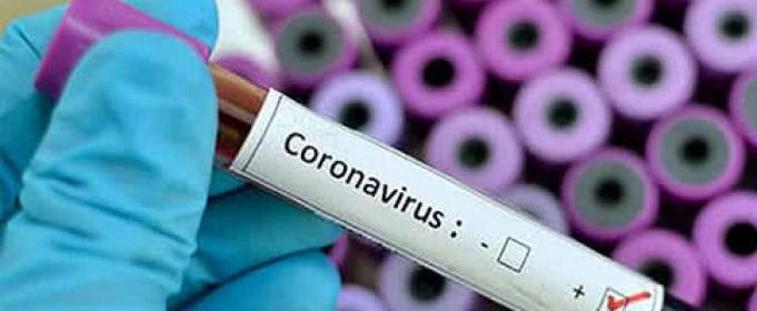COVID-19 не является сезонным заболеванием COVID-19 не является сезонным заболеванием