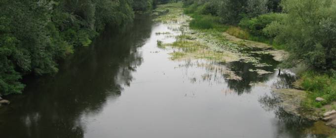 Погода в Україні на п'ятницю, 14 серпня Погода в Україні на п'ятницю, 14 серпня