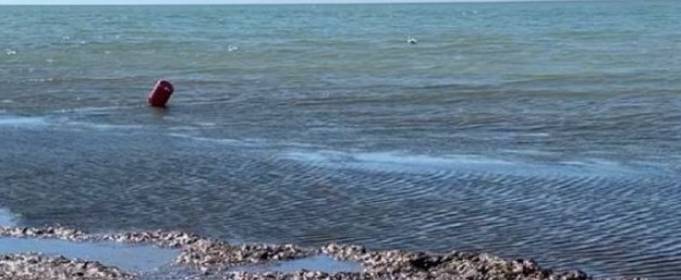 Побережье украинского курорта укрыто грязью и водорослями Побережье украинского курорта укрыто грязью и водорослями