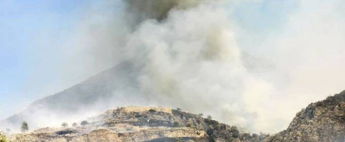 Лісова пожежа зупинилася біля воріт давньогрецької фортеці Лісова пожежа зупинилася біля воріт давньогрецької фортеці