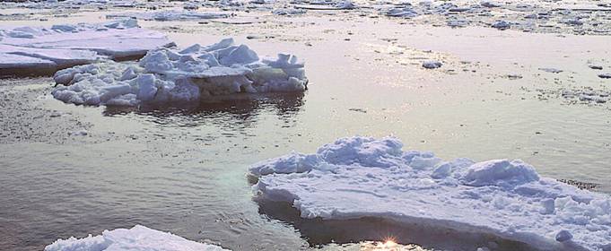 Площа льоду в Беринговому морі досягла мінімуму за 5500 років Площа льоду в Беринговому морі досягла мінімуму за 5500 років
