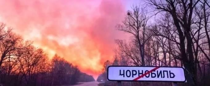 В Україні кількість пожеж в екосистемах збільшилася в 40 разів В Україні кількість пожеж в екосистемах збільшилася в 40 разів