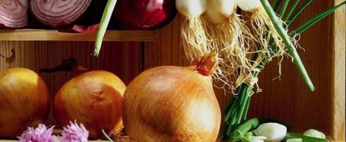 Погодные приметы на 20 сентября Погодные приметы на 20 сентября