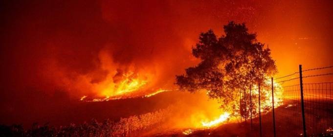 Біля Лос-Анджелеса горить 42 тисячі гектарів лісу Біля Лос-Анджелеса горить 42 тисячі гектарів лісу