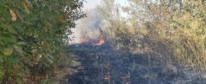 На Сумщині загорівся степ біля дачних будинків На Сумщині загорівся степ біля дачних будинків