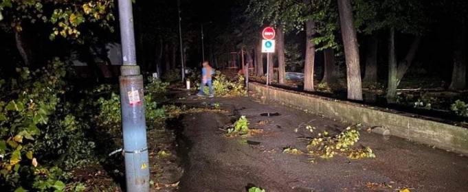 Буря наробила біди: ураган в Івано-Франківську повалив дерева та електроопори Буря наробила біди: ураган в Івано-Франківську повалив дерева та електроопори