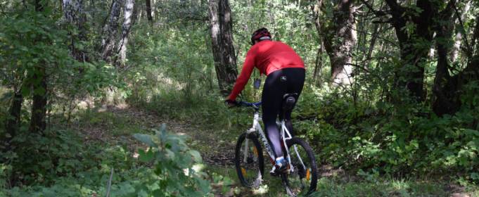 У Зоні відчуження ЧАЕС з'явиться перший веломаршрут У Зоні відчуження ЧАЕС з'явиться перший веломаршрут