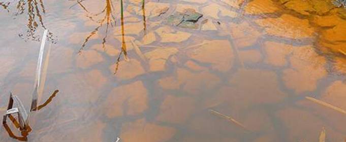 Засуха угрожает водно-болотным угодьям мира Засуха угрожает водно-болотным угодьям мира