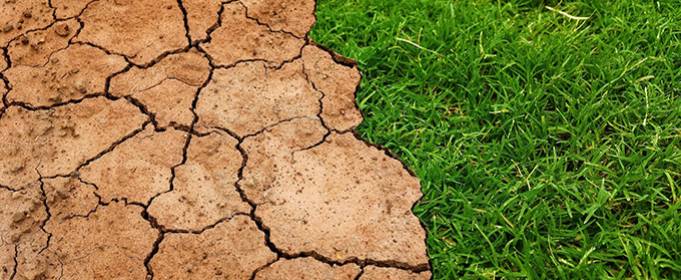 Потепление на 2 °C приведет к высвобождению миллиардов тонн углерода в почве Потепление на 2 °C приведет к высвобождению миллиардов тонн углерода в почве