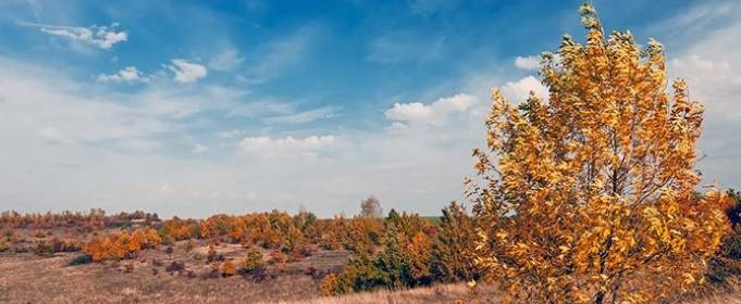Погодні прикмети на 8 листопада Погодні прикмети на 8 листопада