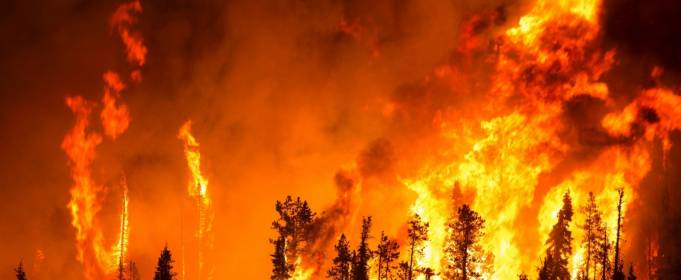 Всередині лісової пожежі. Моторошні відео очевидців, які потрапили у вогняну пастку Всередині лісової пожежі. Моторошні відео очевидців, які потрапили у вогняну пастку