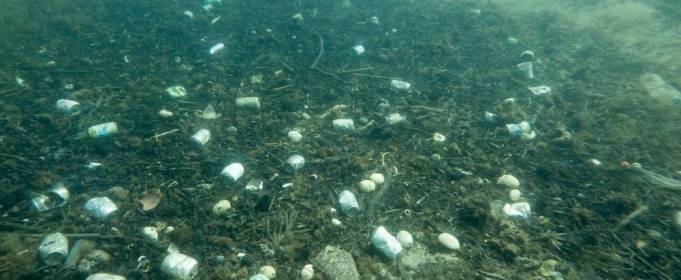 Підводні дрони очистять морське дно Підводні дрони очистять морське дно