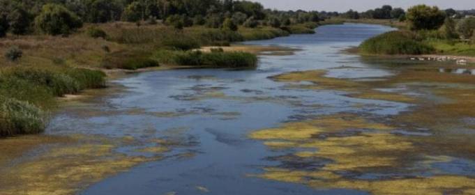 В Україні опинилася під загрозою зникнення одна з найчистіших річок Европи В Україні опинилася під загрозою зникнення одна з найчистіших річок Европи