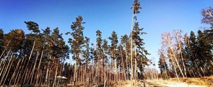 Погодні прикмети на 8 грудня Погодні прикмети на 8 грудня