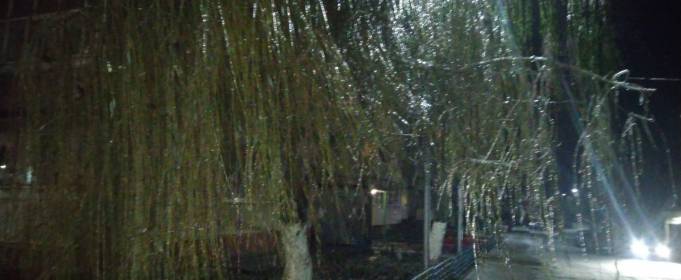 Погодні прикмети на 12 грудня Погодні прикмети на 12 грудня