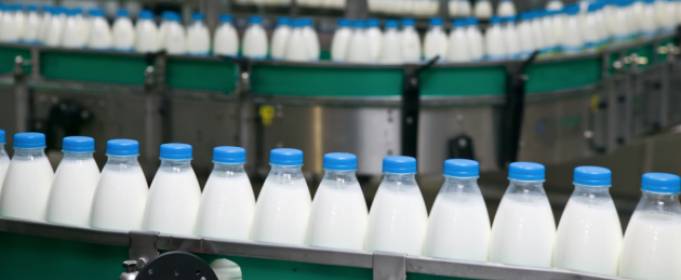 В Україні скоротилося виробництво молока В Україні скоротилося виробництво молока