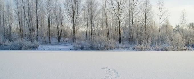 Погодные приметы на 24 декабря Погодные приметы на 24 декабря