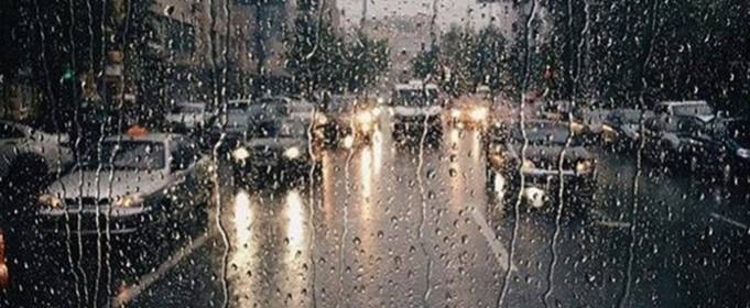У Києві рік завершується температурними рекордами У Києві рік завершується температурними рекордами