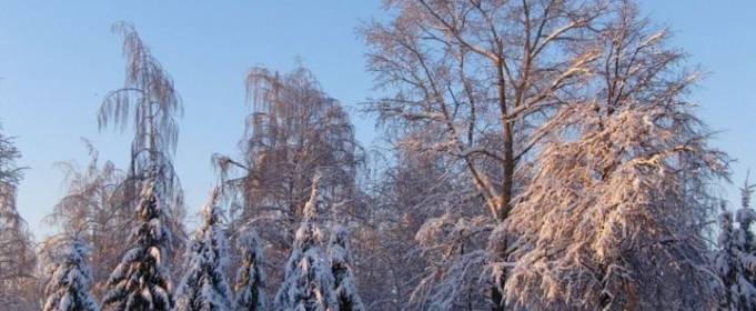 Погодные приметы на 2 января Погодные приметы на 2 января