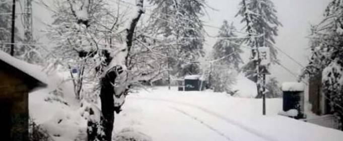 Северо-запад Пакистана накрыл сильный снегопад Северо-запад Пакистана накрыл сильный снегопад