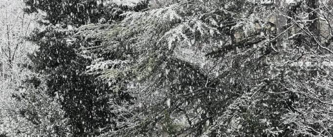 Ялту накрило потужним снігопадом. Фото, відео Ялту накрило потужним снігопадом. Фото, відео