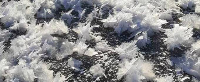 На Волыни зафиксировали уникальное естественное явление - цветы из льда На Волыни зафиксировали уникальное естественное явление - цветы из льда