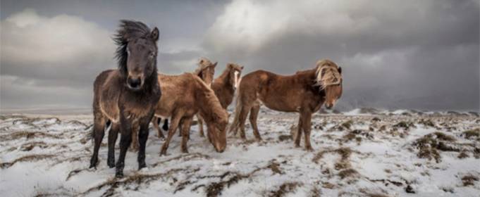 Оголошено переможців конкурсу «Кращий фотограф-мандрівник 2020» Оголошено переможців конкурсу «Кращий фотограф-мандрівник 2020»
