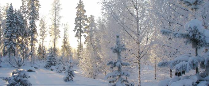 Погодные приметы на 12 февраля Погодные приметы на 12 февраля