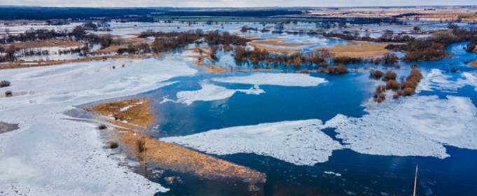 На Волині вийшла з берегів річка Західний Буг (фото, відео) На Волині вийшла з берегів річка Західний Буг (фото, відео)