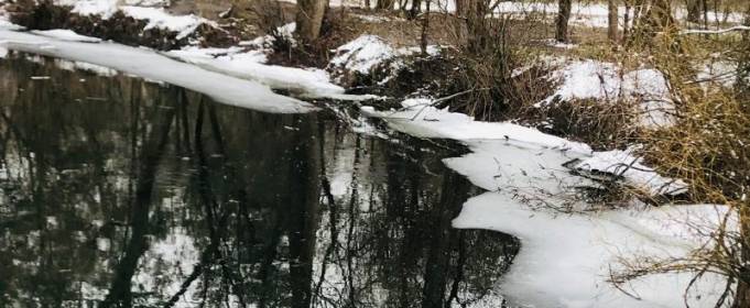 Погода в Україні на неділю, 14 березня Погода в Україні на неділю, 14 березня