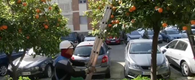 Грузите апельсины киловаттами Грузите апельсины киловаттами