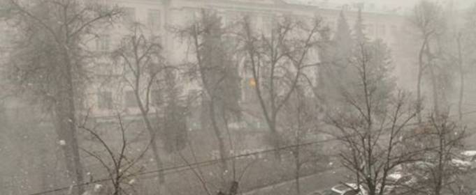 Зима не здається: у Києві в кінці березня почалася завірюха Зима не здається: у Києві в кінці березня почалася завірюха