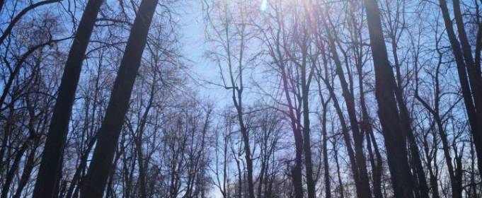 Погода в Україні на середу, 31 березня Погода в Україні на середу, 31 березня