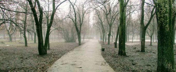 Погода в Україні на п'ятницю, 2 квітня Погода в Україні на п'ятницю, 2 квітня