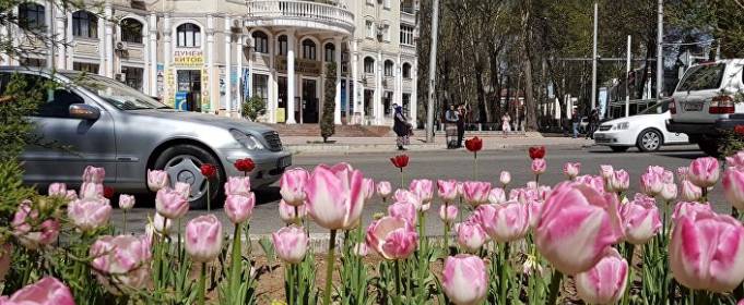В Душанбе распустились почти шесть миллионов тюльпанов В Душанбе распустились почти шесть миллионов тюльпанов